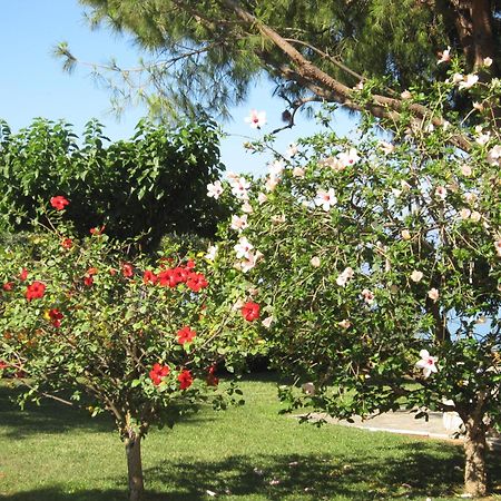 Messinian Blue Seaside Villa Kalamata Ngoại thất bức ảnh