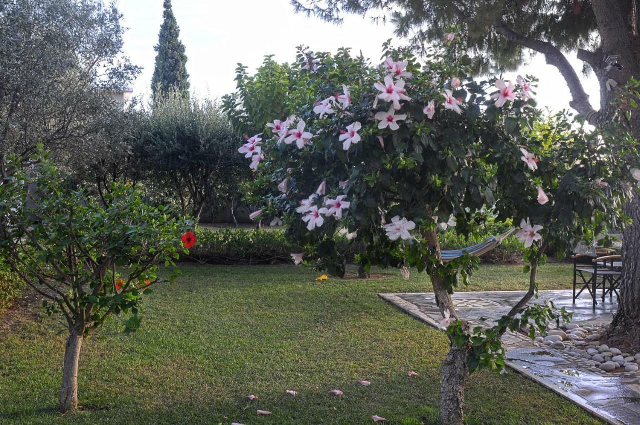 Messinian Blue Seaside Villa Kalamata Ngoại thất bức ảnh